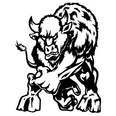 Buffalo